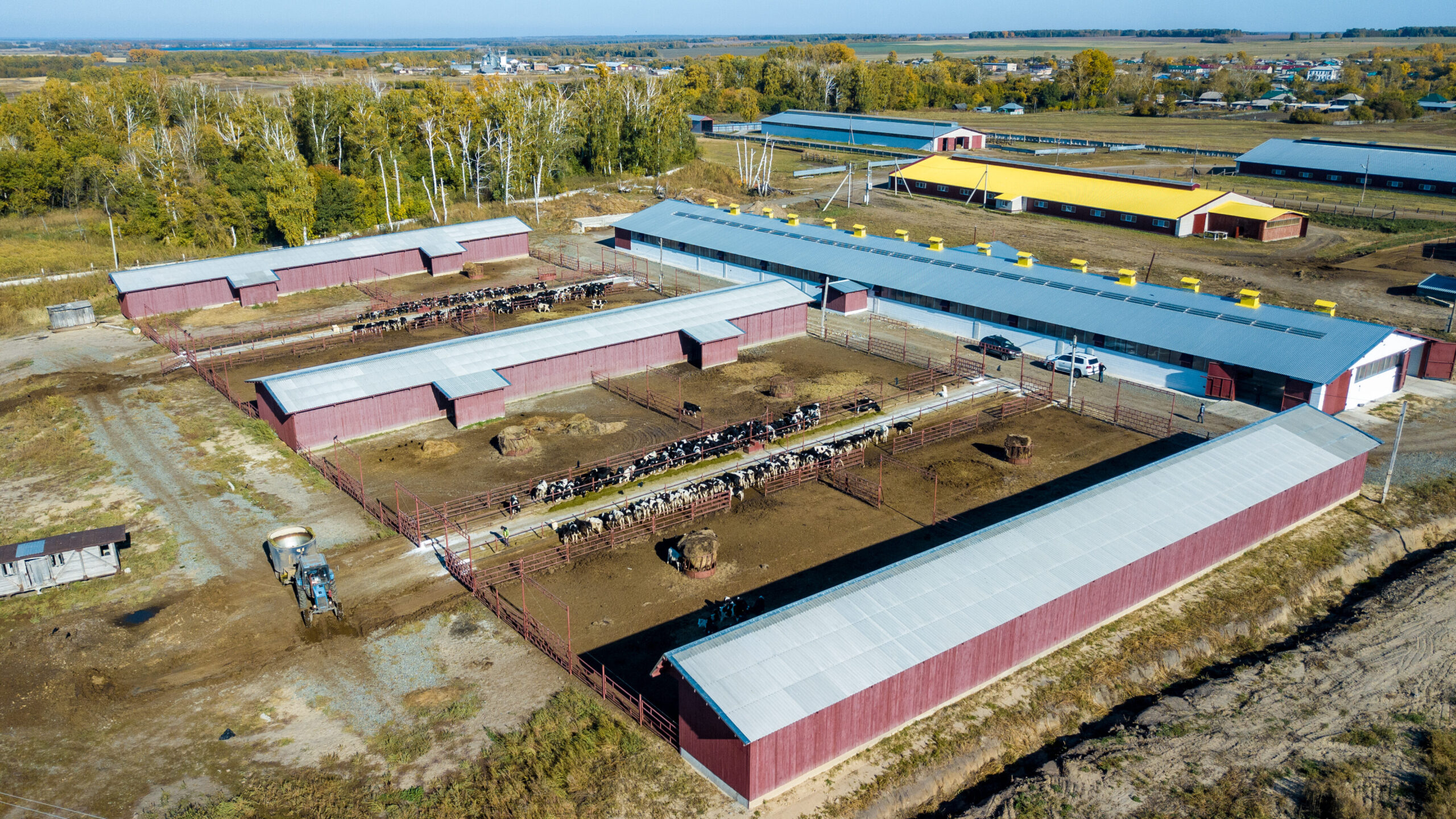Специализированная ферма по выращиванию молодняка крупного рогатого скота молочных пород на 360 голов, АО "Крутишинское"