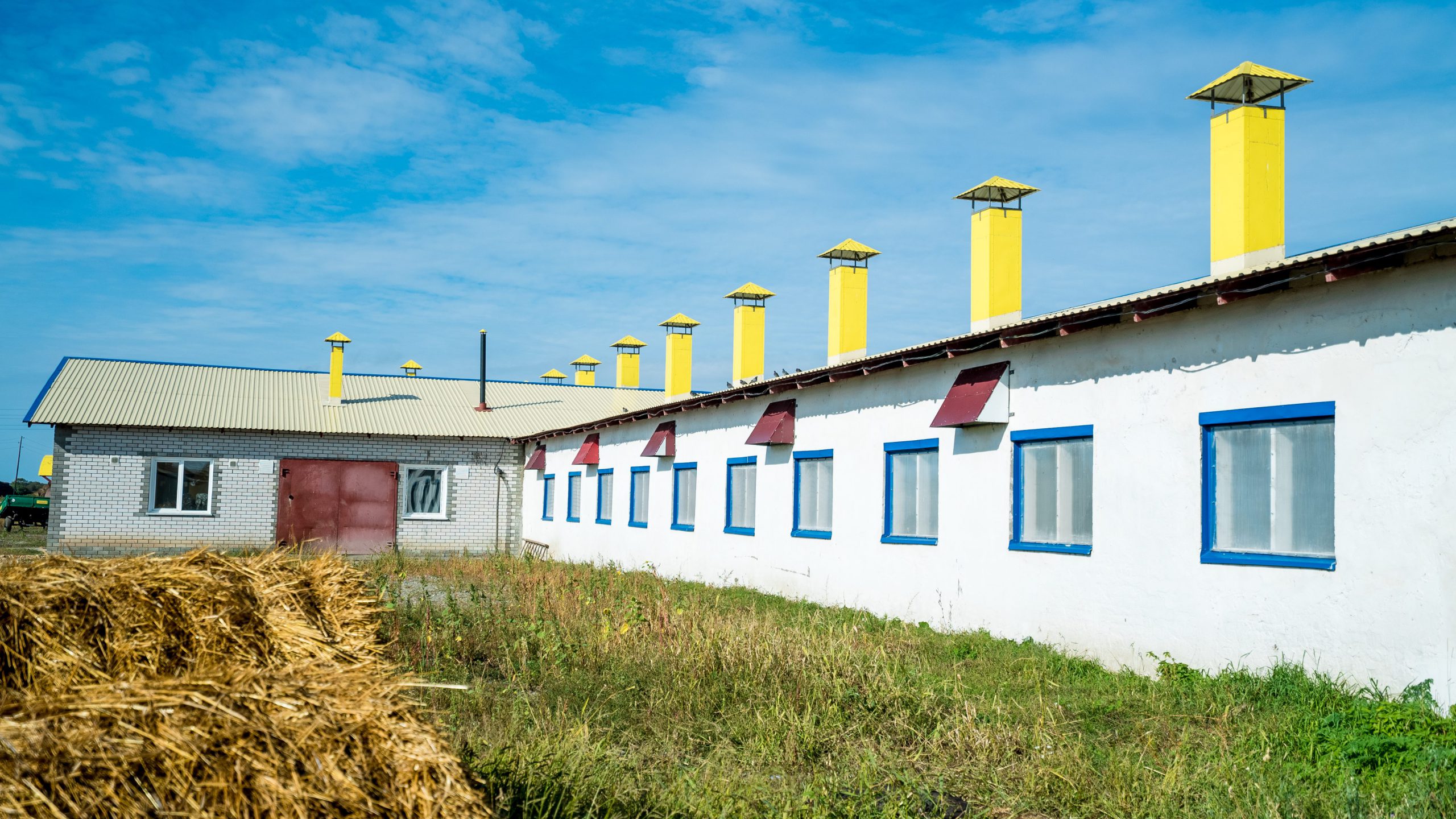 нешний вид родильного отделения комплекса в с. Паутово (принадлежит АКХ "Ануйское") после реконструкции