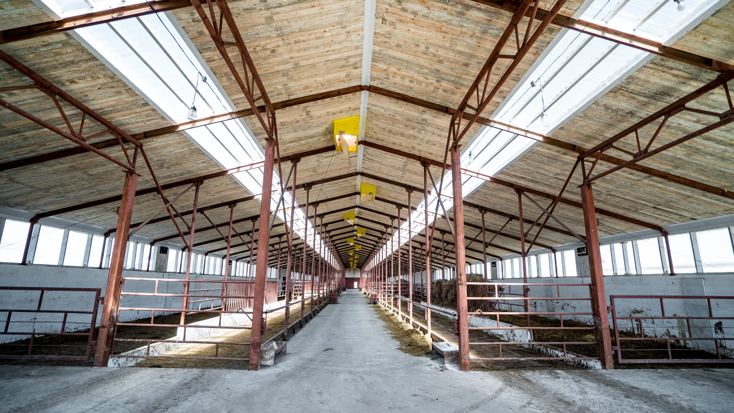 Специализированная ферма по выращиванию молодняка крупного рогатого скота молочных пород на 360 голов, АО "Крутишинское" 